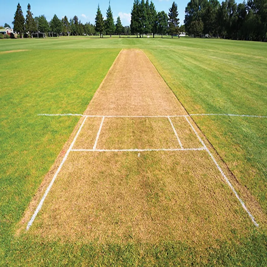 Natural Turf Cricket Pitch