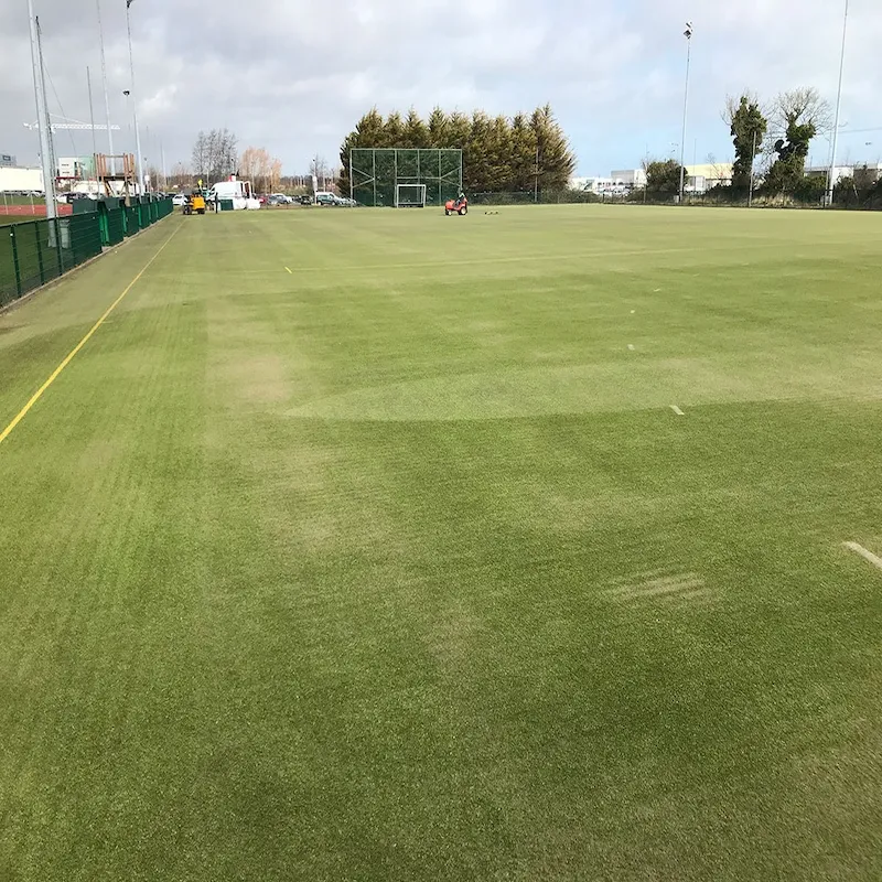 Sand-Filled Synthetic Turf