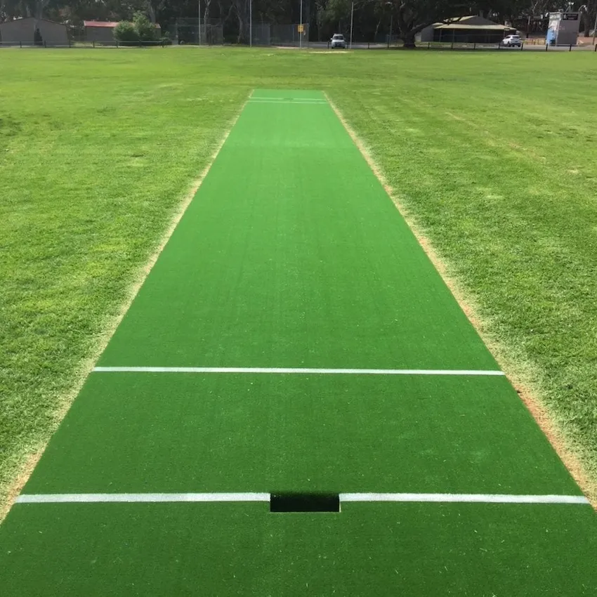 Synthetic Turf Cricket Pitch 