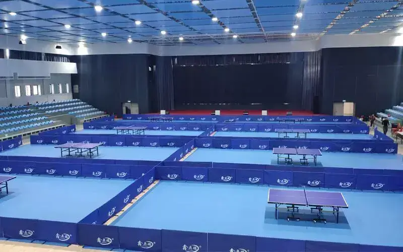 Vinyl Table Tennis Court  Flooring