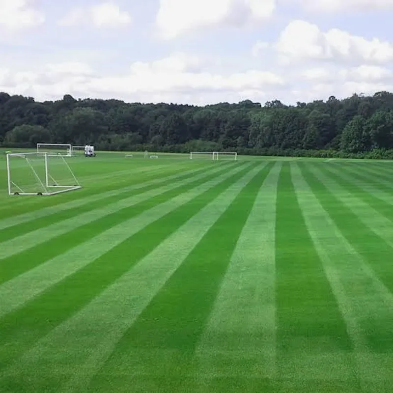 Hybrid Grass System Flooring